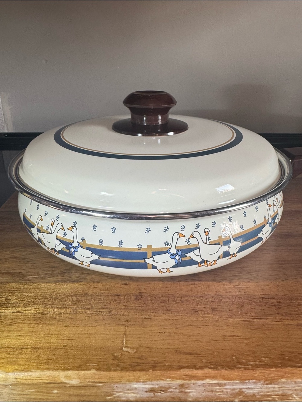 Vintage Country Goose Enamel 9" Sauté Pan Skillet Enamelware Lid Geese Blue Bow
